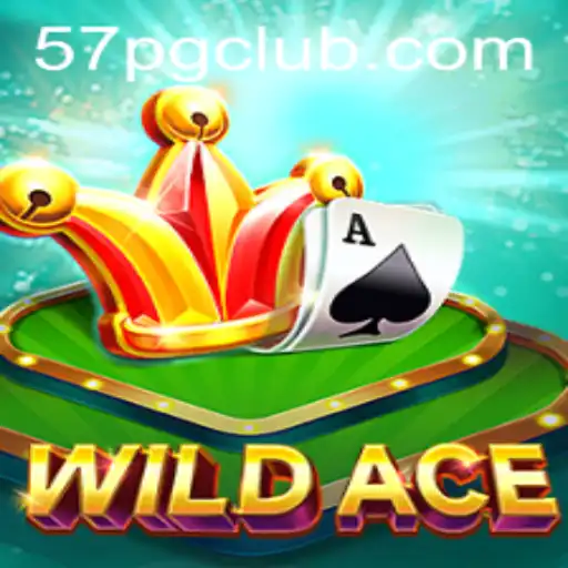 Explorando WildAce: Um Novo Horizonte nos Jogos de Cartas